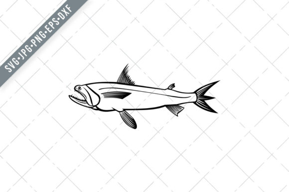 Bombay Duck Fish Harpadon Nehereus Vector Art