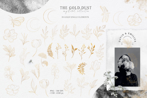 Botanical Gold Line Art Clipart for Professionals