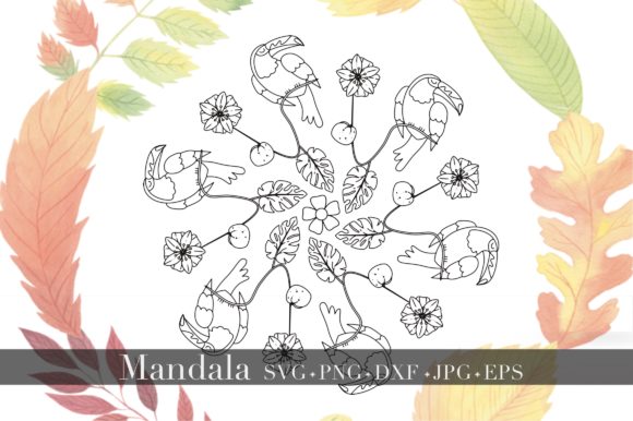 Mandala Bird Tropical Forest: A Designer's Guide