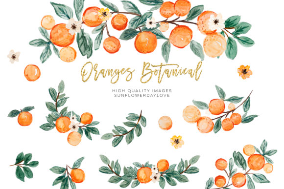 The Ultimate Guide to Orange Summer Clipart, Citrus Clipart & CA056 Oranges Botanical