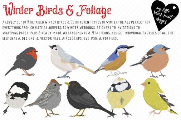 Winter Birds and Foliage: A Designer’s Guide to Getting It Right First Time